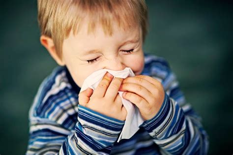 Cuidados Del Bebe Alergias En Niños Pequeños