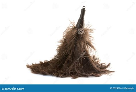 Feather Duster Royalty Free Stock Image 6054532