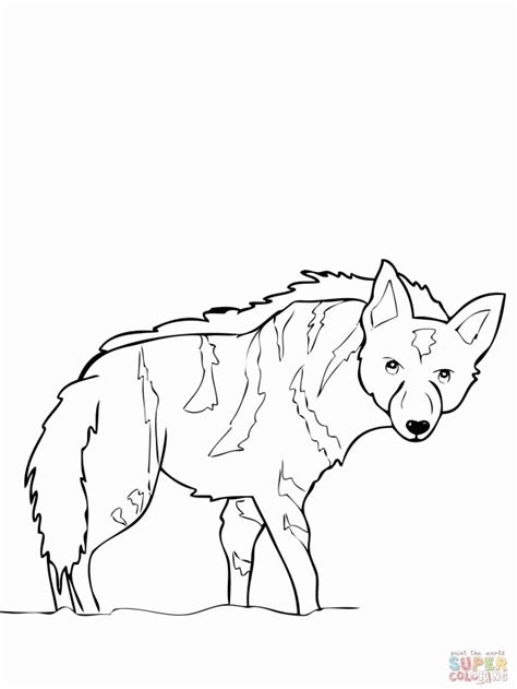 Africa coloring pages results a hunter's guide to aging lions in eastern and southern africa southern africa / by karyl l. The Continent Of Africa Coloring Page - Coloring Home