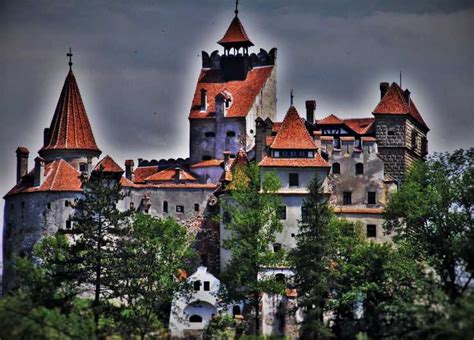 Bucharest 5 Day King Charles Transylvania Private Tour Getyourguide