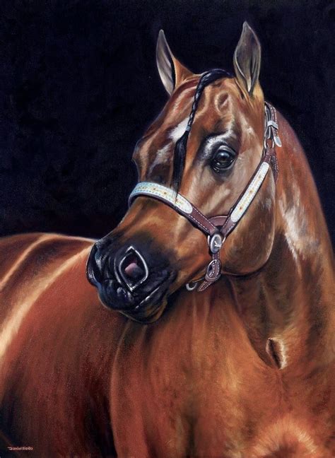 Cabeça De Cavalo óleo Sobre Tela Daniel Mello Arte Cavalo Cavalos