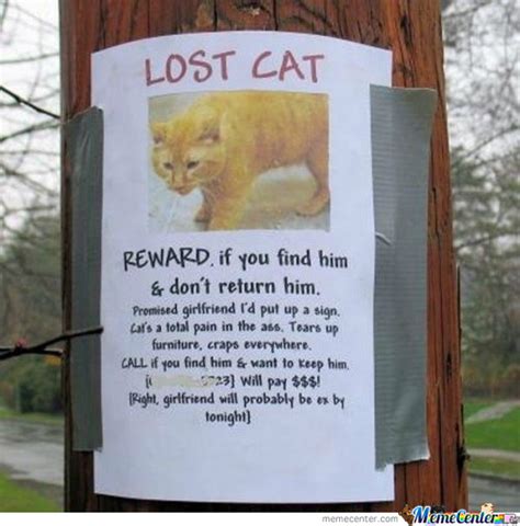 Rmx Unusual Lost Cat Sign By Findout137 Meme Center