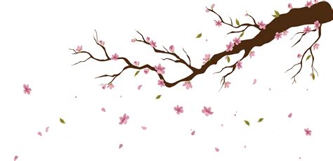 Cherry Blossom Petal Png Cherry Blossom Petals Falling Tattoo