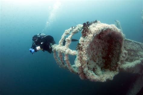 The Best West Coast Shipwrecks And How To See Them