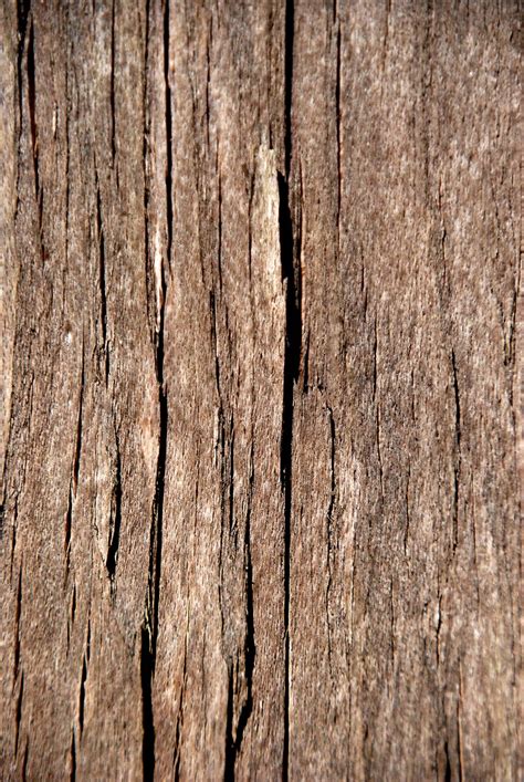 Free Old Wood Texture 4 Stock Photo