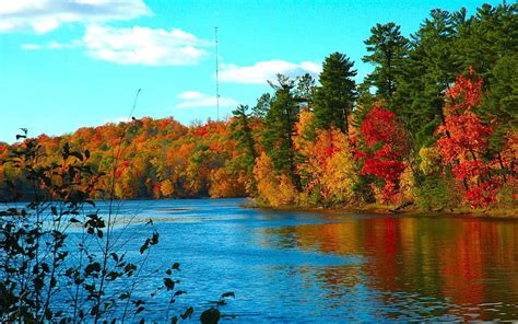 River Trees Autumn Scenery Hd Wallpaper Peakpx