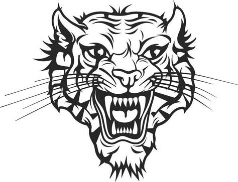 Tiger Face Roaring Scary Car Decal Sticker Gympie Stickers