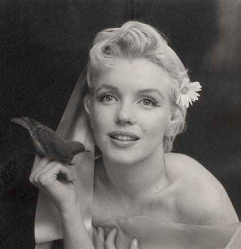 Decades after her death, she remains one of the twentieth century's most famous movie stars and pop icons. NPG x40263; Marilyn Monroe - Portrait - National Portrait Gallery