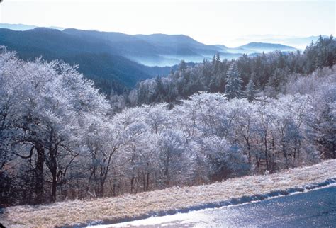 Great Smoky Mountains