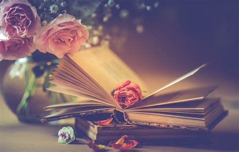 Books And Flowers Wallpapers Top Free Books And Flowers Backgrounds