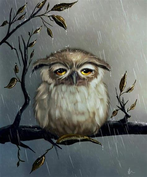 Pin By Michelle Ilkiw On Owls Owl Owl Artwork Owl Art