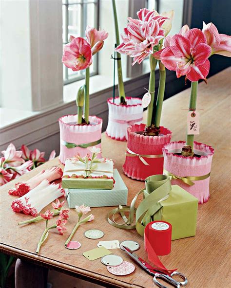 Potted Amaryllis T Wrap Crepe Paper Crafts Holiday Hostess Ts