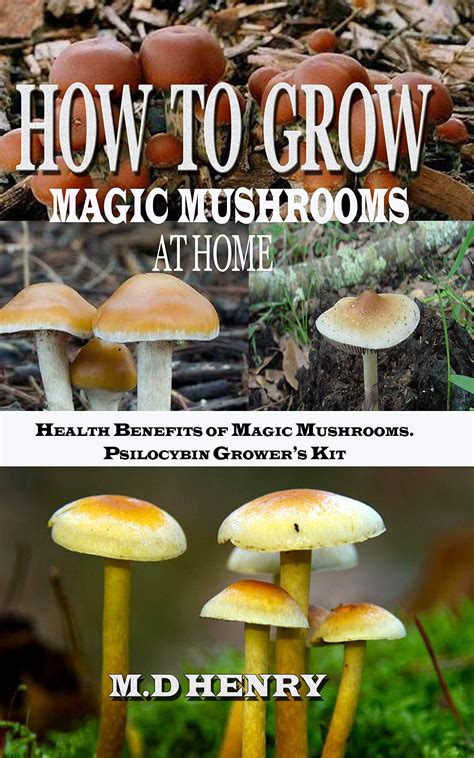 Buy How To Grow Magic Mushrooms At Home Benefits Of Magic Mushrooms