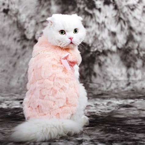 Cat Clothing Bow Hairs Autumn And Winter Warm Cat Clothes Pet Cat Fur
