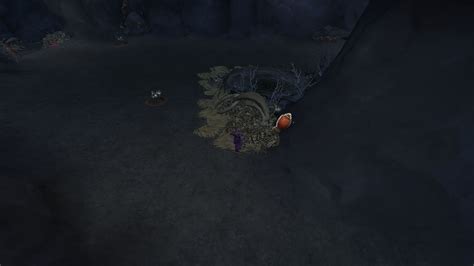 How To Complete The Forgotten Grotto Relics World Quest In Wow