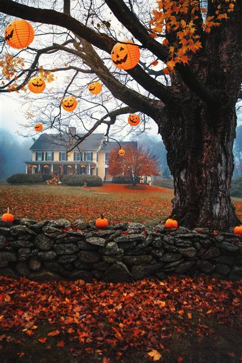 Happiness On Twitter Fall Pictures Fall Wallpaper Fall Halloween Decor