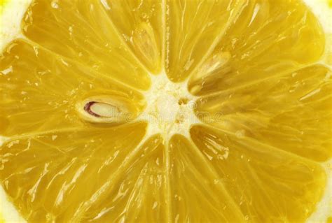 Cross Section Of Lemon Stock Image Image Of Ingredient 118059929