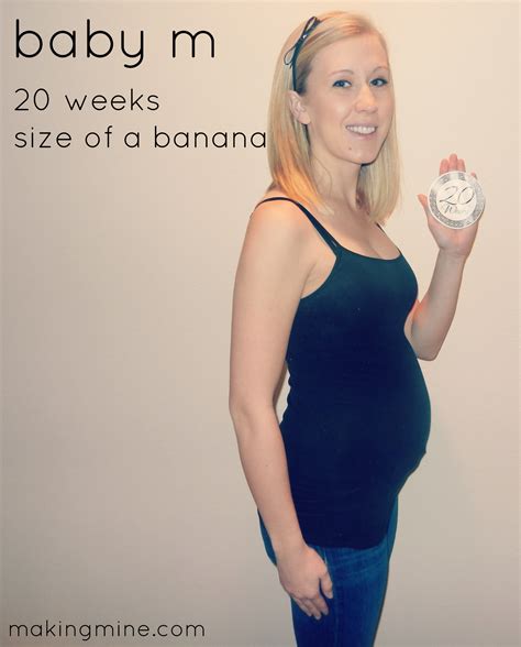 20 Weeks Pregnant With Baby M