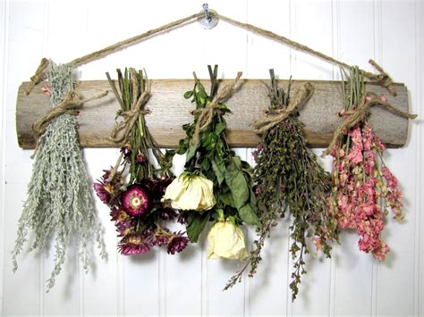Is this normal or a sign that. Dried Flower Rack Floral Arrangement Wall Decor ...