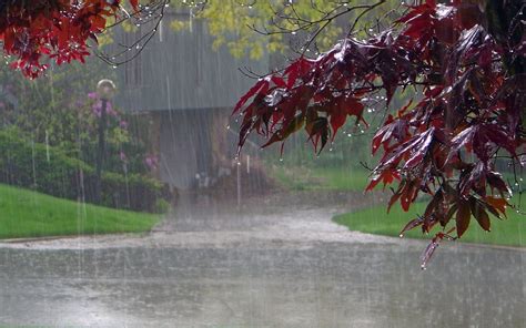 21+ Rain Wallpapers, Backgrounds, Images, Pictures | Design Trends ...