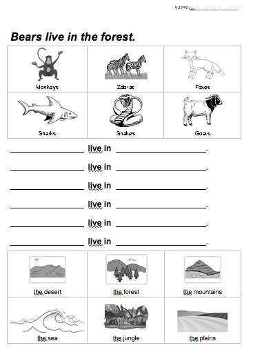 Animal Habitat Worksheet Animal Worksheets 1st Grade Worksheets