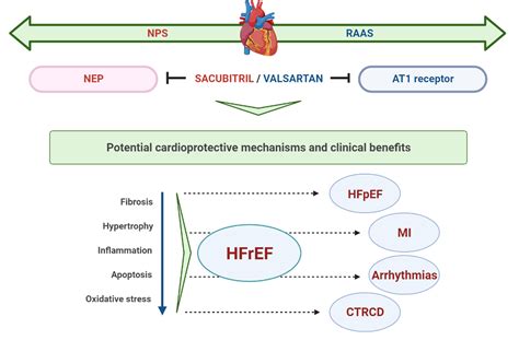 Sacubitrilvalsartan In Heart Failure And Beyond—from 56 Off