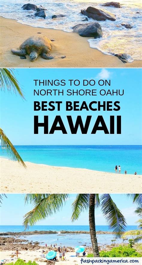 North Shore Oahu Beaches To Know About For First Trip To Honolulu