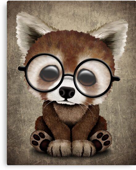 Cute Nerdy Red Panda Wearing Glasses Canvas Prints By Jeff Bartels