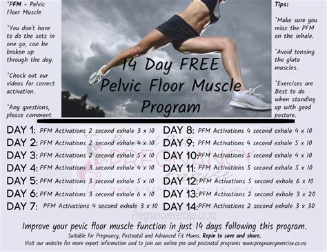 Every week, you can add more squeezes, but be careful not to overdo it, and always have a. Pelvic Floor Muscle 14 Day FREE Program | Pregnancy Exercise