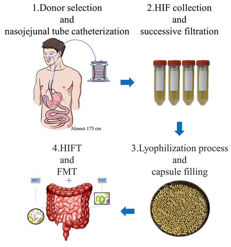 Frontiers Fecal Microbiota And Human Intestinal Fluid Transplantation