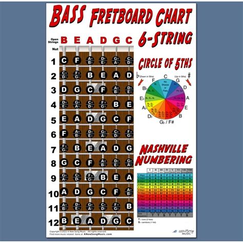6 String Bass Fretboard Poster Nashville Numbering System Circle Of