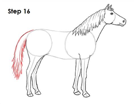 Don't make your mustang all flabby with no sense of realism. How to Draw a Horse