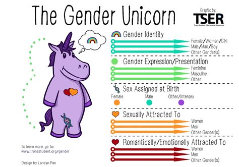 Gender Identity Explained with the Gender Unicorn