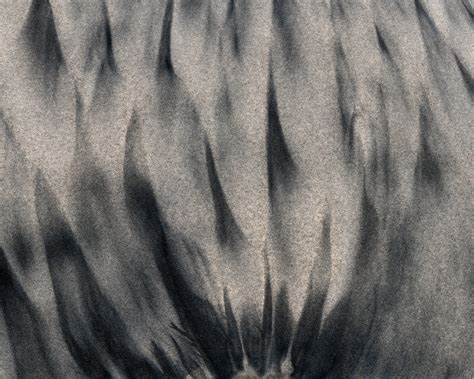 Bonfire | San Diego County, California | David Thompson Photography