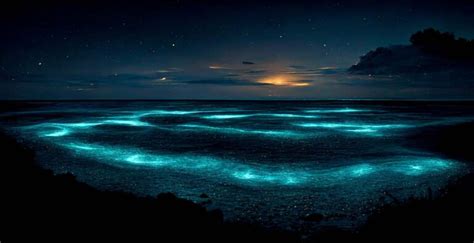 Follow The Glow Top 15 Bioluminescent Beaches In The World