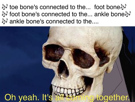 A Skeletons Favorite Song Rdankmemes