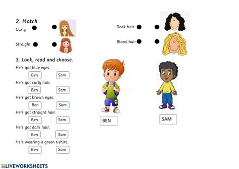 What Do They Look Like Interactive Worksheet English Activities