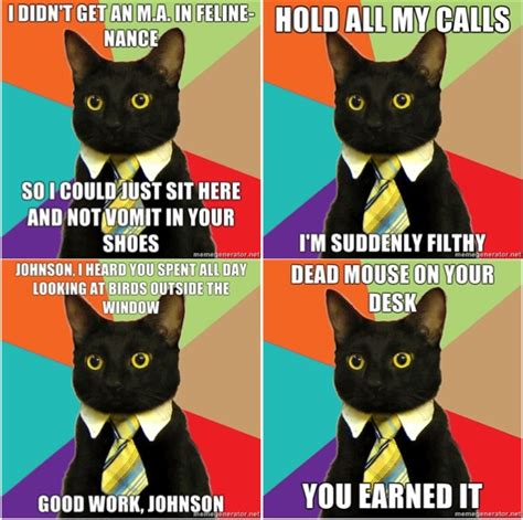 Maybe you would like to learn more about one of these? Business Cat: A Meme Is Born | Broadsheet.ie