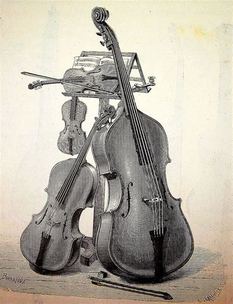 Violín Vs Viola Vs Violonchelo Vs Bajo Johnson Instrumento De Cuerda