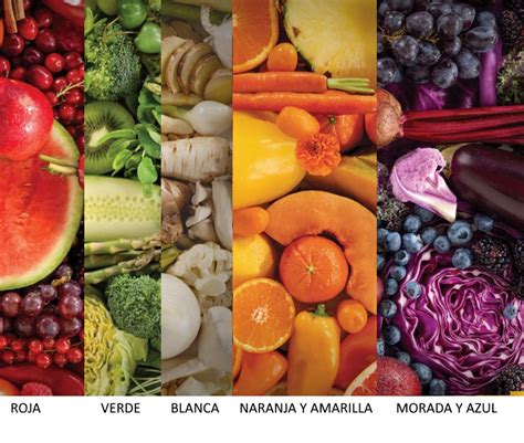 ¿qué Significa El Color De Los Vegetales Que Nos Comemos Cada Día La