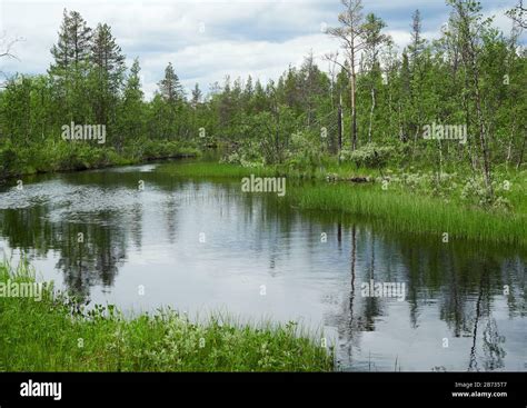 Idyllic Summer Landscape With Clear Water Of A River In Yllas Finland