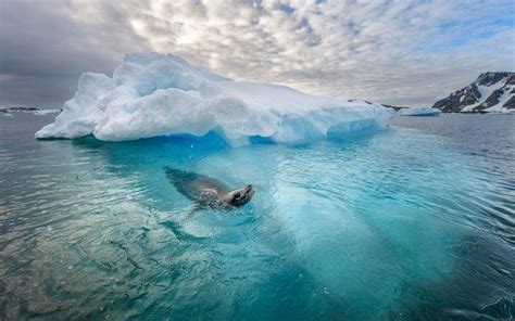 Ice Iceberg Nature Landscape Wallpapers Hd Desktop