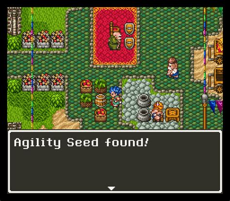 Dragon Quest 6 Snes 038 The King Of Grabs