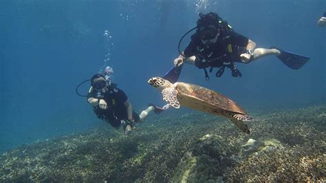 Padi Discover Scuba Diving Phuket