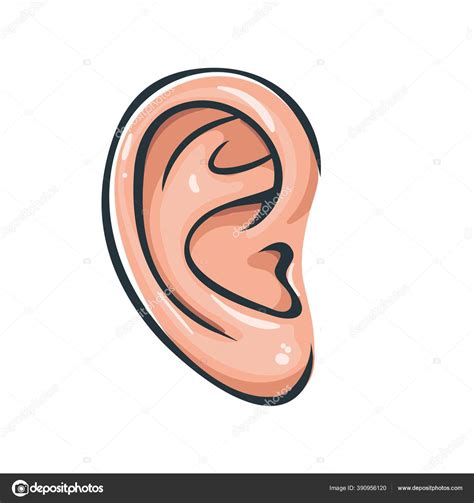 Vector Illustration Of Ear Icon Stock Vector Image By ©tory 390956120