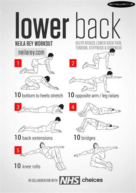 Webmd lists the best ways to trick and treat your muscles into getting bigger and stronger. Core strengthening exercises for lower back pain pdf ...