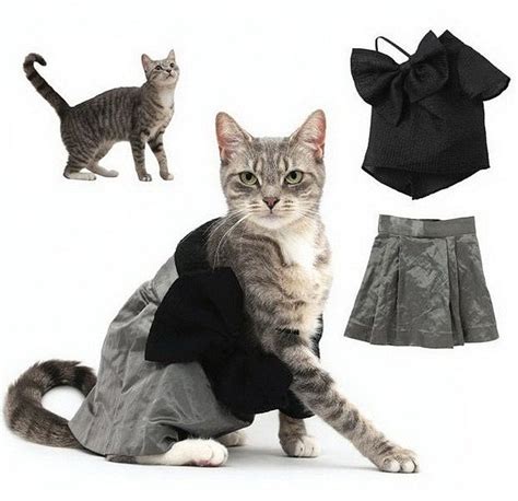 Everyone knows cats love wearing costumes (just kidding), so why not get your cat a hilarious little business man outfit with a tiny briefcase, or a superman outfit with little legs and a cape. Trendy clothes for cats