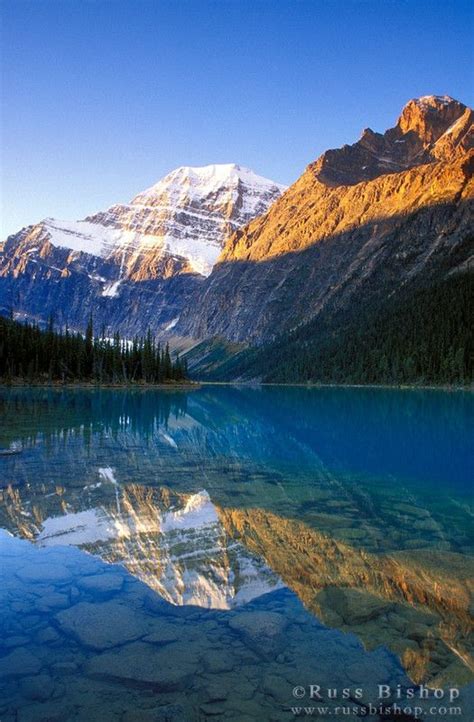 Dawn Light On Mount Edith Cavell Reflected In Cavell Lake Jasper