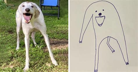 This Person Tried To Draw Their Dog And Now People Cant Get Enough Of