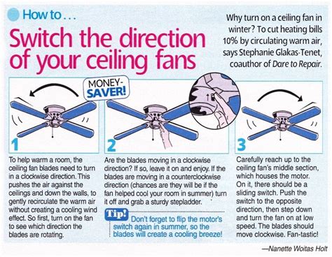 Most ceiling fans are reversible for summer and winter image source: ag瑙嗚 -涓栫晫灏忚 缃 | Ceiling fan switch, Ceiling fan, Ceiling ...